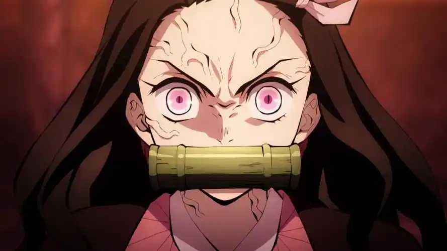 海贼王路飞五档